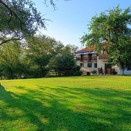 Pensiunea Agroturistica Ica Valea Drăganului Extérieur photo