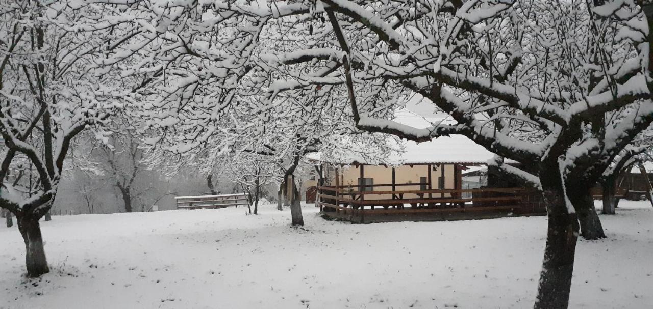 Pensiunea Agroturistica Ica Valea Drăganului Extérieur photo