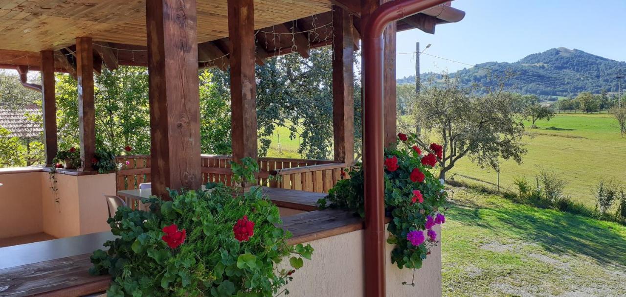 Pensiunea Agroturistica Ica Valea Drăganului Extérieur photo