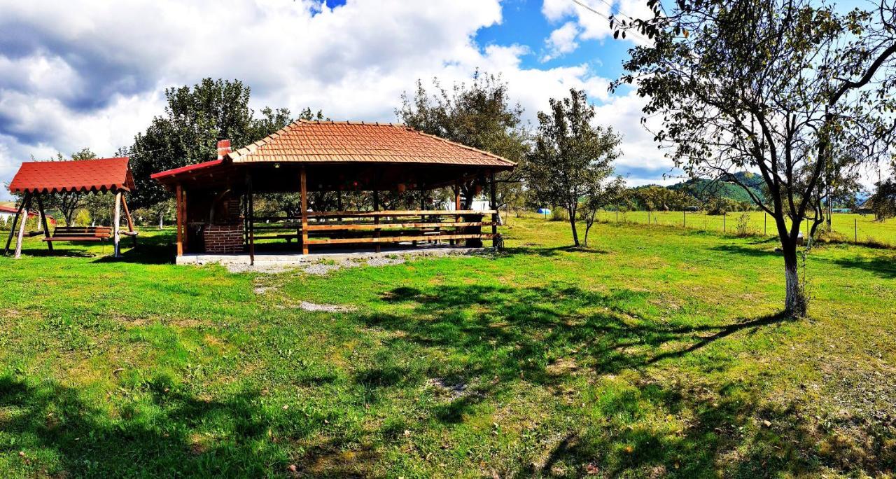 Pensiunea Agroturistica Ica Valea Drăganului Extérieur photo