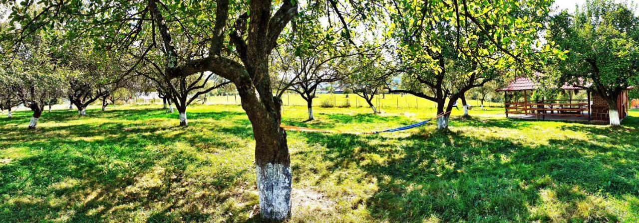 Pensiunea Agroturistica Ica Valea Drăganului Extérieur photo