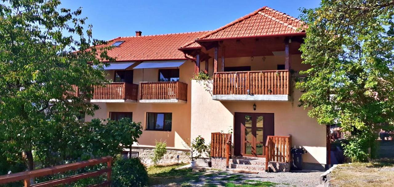 Pensiunea Agroturistica Ica Valea Drăganului Extérieur photo