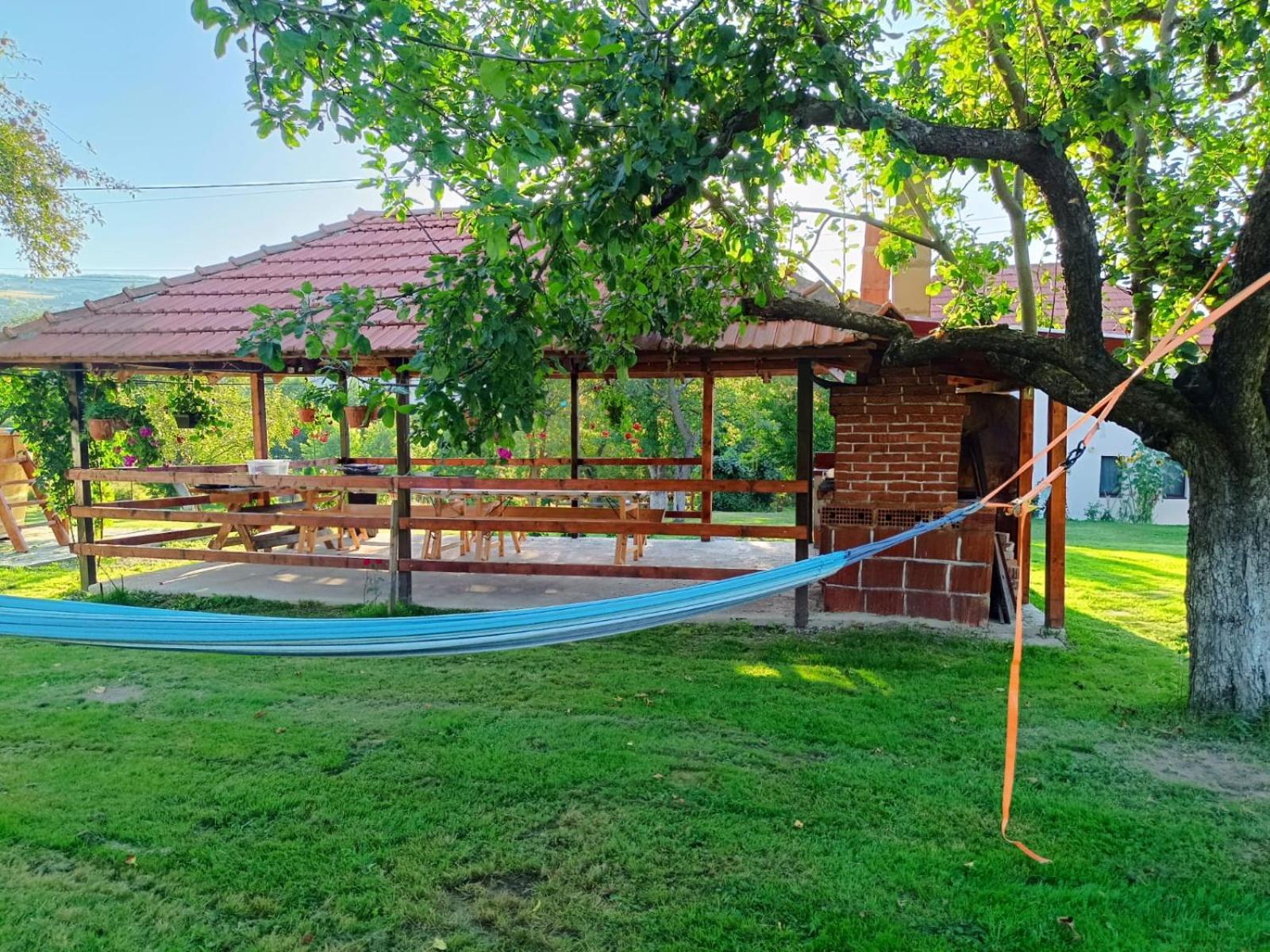Pensiunea Agroturistica Ica Valea Drăganului Extérieur photo