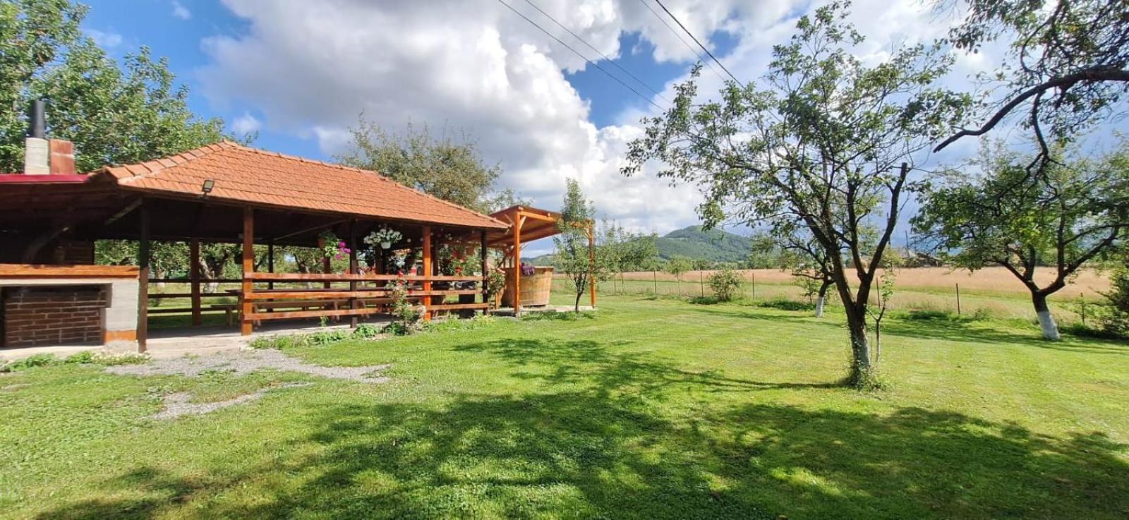 Pensiunea Agroturistica Ica Valea Drăganului Extérieur photo